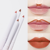Crayon à lèvres pigmenté de haute qualité avec pinceau et taille-crayon, logo personnalisé, vegan, waterproof, crémeux, marque privée