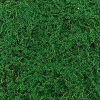 Mousses de K-0248 de haute qualité Panneaux muraux en mousse artificielle Panneaux verticaux pour plantes d'intérieur Mousse personnalisable