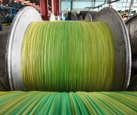 YJ OEM 1C câble de mise à la terre en PVC à noyau unique 2.5mm fil de câble électrique vert/jaune