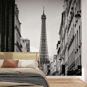 Papel Tapiz de Tela No Tejida con Diseño de la <span class=keywords><strong>Torre</strong></span> <span class=keywords><strong>Eiffel</strong></span> en Blanco y Negro, <span class=keywords><strong>Vista</strong></span> de la Ciudad de París, Decoración para Cafetería y Sala de Estar - Product Image 2