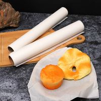 Doublure de plateau de nourriture en silicone résistant aux hautes températures transfrontalière exclusive double revêtement étanche BBQ four papier de cuisson pain