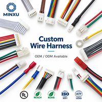 Fabricant de faisceaux de câbles OEM pour l'automobile, assemblage de câbles 16-22AWG à 2-8 broches, connecteur étanche pour systèmes de véhicules