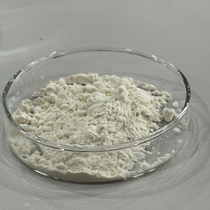 88MC Source de protéines de levure Usine Poudre de protéines végétariennes Matière première Faible taux de cholestérol Source non animale - Product Image 3