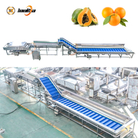 Wasmachine voor aardappelen en sinaasappels SUS 304, tomatenborstelreinigingsmachine, waslijn voor citrusvruchten en groenten