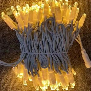 100LEDS 방수 IP67 야외 고무 케이블 led 문자열 조명 led 요정 조명 깜박이 꾸준한 변경 led 크리스마스 빛 - Product Image 1