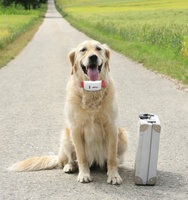 Tkstar Tk909 Mini Traceur GPS pour Animaux de Compagnie, Collier Intelligent, Localisateur GPS pour Chien de Chasse, Dispositif de Suivi GPS pour Chat avec Clôture Virtuelle, GSM, Application Winnes iOS