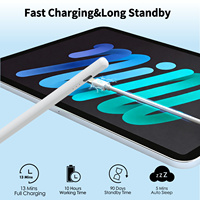 Pena Stylus iPad Ringan dan Kompak dengan Bluetooth, Pengisian Cepat, Sensor Kemiringan, Sensor Sentuhan Telapak Tangan, Magnetik, Pena Aktif OEM Kustom