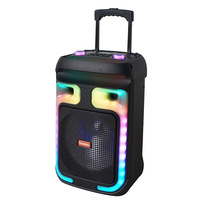 En gros, grande enceinte trolley d'extérieur sans fil de 12 pouces PLUS pour karaoké, batterie au lithium 30-50W OEM