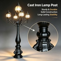Colonne lumineuse LED extérieure personnalisée en usine, grand modèle, style paysage européen, en aluminium, étanche IP65, alimentée en courant alternatif