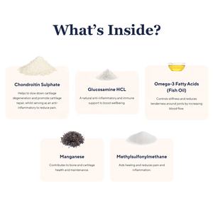 كلب شوندرويتين مشترك ملحق الحيوانات الأليفة الكلب يمضغ لينة الكلب الورك والمكملات الغذائية المشتركة - Product Image 3