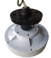 Générateur à aimants permanents sans noyau Maglev 600W 250RPM 12V/24V, alternateur DIY pour éolienne verticale
