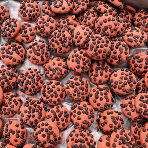 Biscotti al Cioccolato di Alta Qualità dalla Cina dal Gusto Eccellente e dall'Aspetto Gradevole per il Mercato Globale - Product Image 5