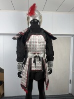 Antike Chinesische Krieger-Rüstung Set Traditionelles Chinesisches Soldaten-Lamellenkostüm Jacken Mäntel LARP Cosplay Halloween
