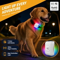 Traceur GPS/Beidou G63 pour animaux de compagnie avec suivi en temps réel, affichage de la durée, de la distance et des calories, étanche IP67, réseau 4G