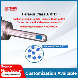 Heraeus เครื่องส่งสัญญาณอุณหภูมิ RTD PT100ความแม่นยำสูงระดับ A พร้อมหัววัดสแตนเลส4-20mA/0-5V/0-10V เอาต์พุต - Product Image 3