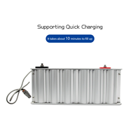 Batterie de module de Super condensateur 48V 165F banque d'alimentation de super condensateur utilisée pour le système d'énergie solaire