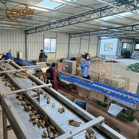 Máquina de clasificación comercial de alta eficiencia, equipo automático de clasificación de pato con ala de pata de pollo congelado, núcleo de motor