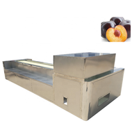 Dry Date Pitting Depeemachine Fruitputmachine Voor Perzik En Pruim