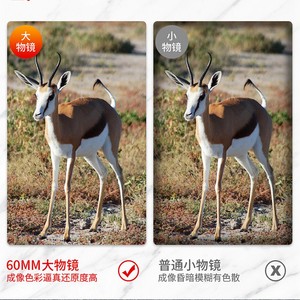 Suncore Binoculars 10-30x60 High Resolution Professional Natural Observation With Image Stabilization - Product Image 4