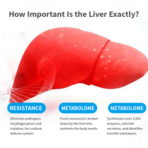 <span class=keywords><strong>Capsules</strong></span> d'extrait de chardon-marie séché OEM 1000 <span class=keywords><strong>mg</strong></span> Détoxification du foie Minceur Complément alimentaire naturel <span class=keywords><strong>Capsules</strong></span> de chardon-marie - Product Image 5