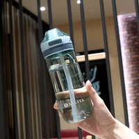 Bouteille d'eau personnalisée en gros, 500 ml, sans BPA, étanche, écologique, avec paille, poignée, échelle graduée, infuseur à thé, compatible lave-vaisselle