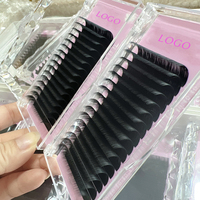 Plateaux d'extensions de cils en soie cachemire noir mat de haute qualité avec logo personnalisé, cils Easy Fan avec courbure CC, marque privée