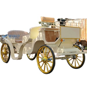 Calèche de tourisme populaire, véhicule à chevaux, calèche de tourisme blanche, calèche de tourisme électrique Victoria - Product Image 1