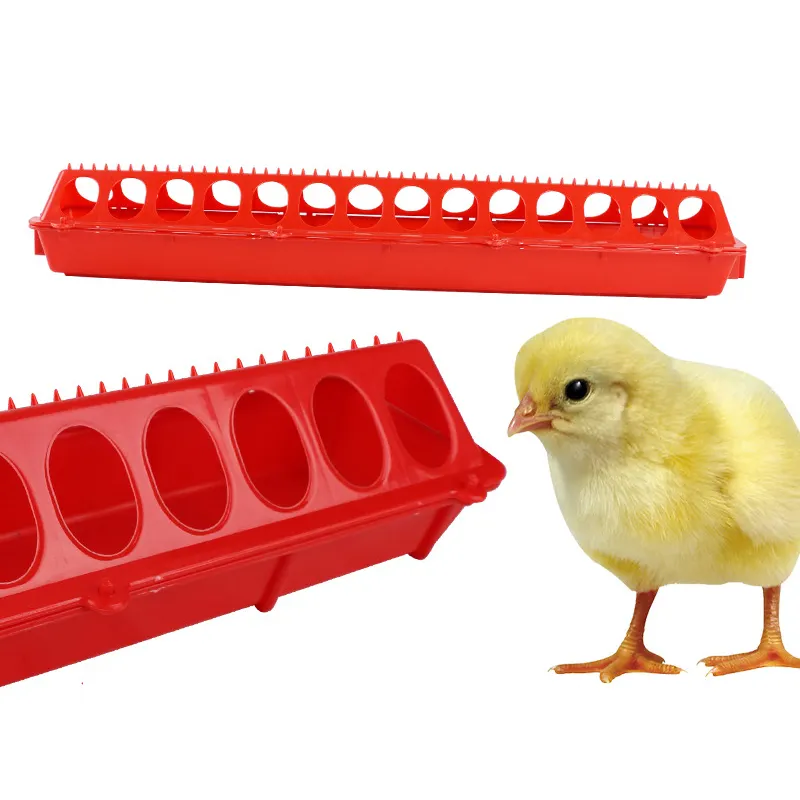 Plastique Élevage Abreuvoir poulet Mangeoires pour volailles