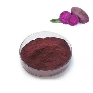 Vendita calda sano pigmento naturale viola succo di patata dolce concentrato/polvere