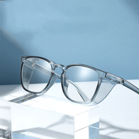 Lunettes de protection anti-lumière bleue TR90 résistantes au pollen 2024, lunettes anti-buée, monture anti-pollen, lunettes de sécurité anti-poussière pour adultes
