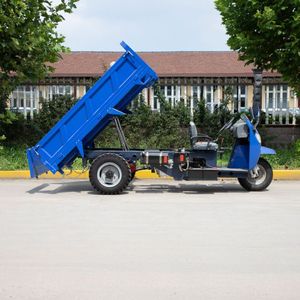 DIESEL ba bánh cho hàng hóa nặng mở 3-Wheel xe máy với nhiên liệu động cơ cơ giới lái xe - Product Image 5