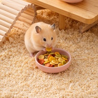 Bol en céramique minimaliste rond de couleur unie pour hamster, gamelle pour hamster syrien, oiseaux et petits animaux (papillons, etc.) - Vente en gros