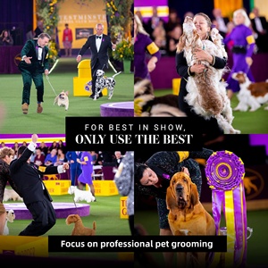 2024 nouveau toilettage pour animaux de compagnie longue broche bois chien brosse poignée peinture incurvée chien Slicker brosse pour Goldendoodle <span class=keywords><strong>Labradoodle</strong></span> - Product Image 4