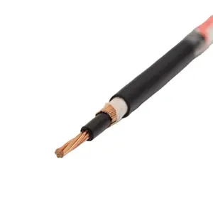 0.6/1KV cable concentrico 2x6 2x4 2x10 2x16 2x6+1x8 AWG Concentric Cables