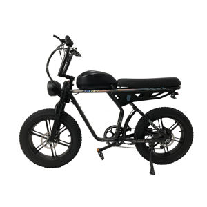 <span class=keywords><strong>2</strong></span> plazas 20 pulgadas 750w 1000w Super Ebike 73 eléctrica grasa neumático de la bicicleta de montaña DE SUSPENSIÓN COMPLETA Land Cruiser Ebike de crucero de playa bicicleta - Product Image 2