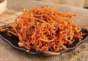 Cordyceps Militaris Selvatico Biologico di Alta Qualità Marca SHM, Essiccato Naturalmente all'Aria, Doppio Uso Alimento e Medicina - Product Image 6