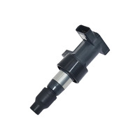 ملف إشعال C2S42673 من ENGINE Systems لسيارات جاكوار XJ وX-Type وXF V6 وXK 8 كوبيه ورينج روفر سبورت