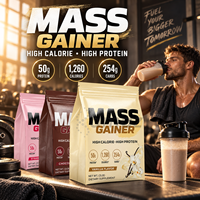 Poudre de gain de masse OEM sous marque privée, formule hyperprotéinée pour la prise de poids, mélange WPC WPI, supplément nutritionnel sportif