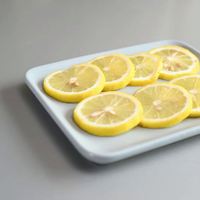 Support de coupe-tomates en acier inoxydable de haute qualité, guide de découpe rond pour fruits et oignons, pinces avec poignée, outils pour fruits et légumes