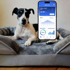 Lit intelligent pour animaux de compagnie de haute qualité avec moniteur de santé : suivi du rythme cardiaque, de la fréquence respiratoire et des modes de sommeil, en flanelle, pour la maison et la clinique - Product Image 1
