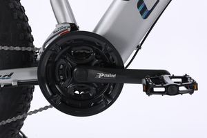 Bicicleta Eléctrica Clásica con Llantas Gruesas en Oferta, Batería Integrada, Motor de Alta Potencia, Gran Autonomía, Ns-zd010 - Product Image 6