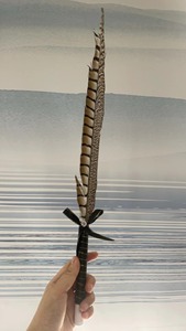 Pluma <span class=keywords><strong>de</strong></span> Cola <span class=keywords><strong>de</strong></span> Faisán Reeves Natural <span class=keywords><strong>de</strong></span> Alta Calidad para Decoración <span class=keywords><strong>de</strong></span> Carnaval 2024 - Product Image 6