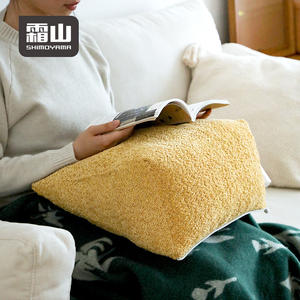 Coussin de dossier triangulaire détachable SHIMOYAMA, confortable et <span class=keywords><strong>réglable</strong></span>, <span class=keywords><strong>pour</strong></span> <span class=keywords><strong>canapé</strong></span>-<span class=keywords><strong>lit</strong></span>, <span class=keywords><strong>pour</strong></span> s'allonger et soutenir le <span class=keywords><strong>dos</strong></span> - Product Image 5