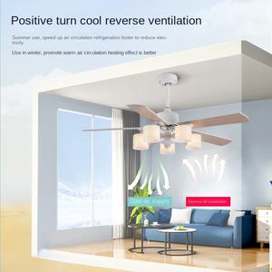 Moderno nórdico 5 52 pulgadas LED ventilador de techo DC Motor AC Control remoto condensador de repuesto de vidrio 10 años de garantía sala de estar - Product Image 4