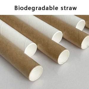 Pajitas desechables de papel para bebidas de leche con perlas, 12 mm de diámetro, pajitas desechables de plástico para bebidas de té de burbujas, empaquetadas en papel para leche. - Product Image 2