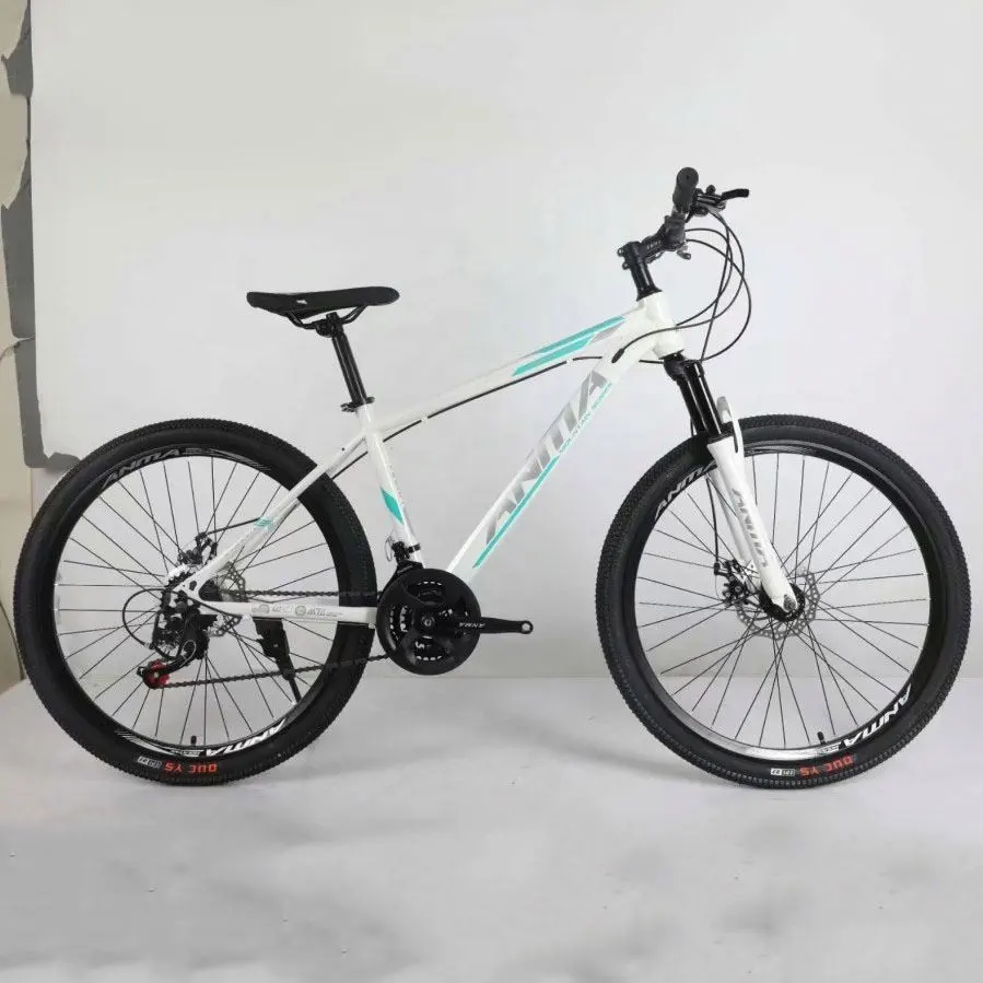 Koolstofvezel 20 "26X4.0 Fat Bike Met Band Fietsframe Dikke Vouwfiets Fat Band Sportfiets