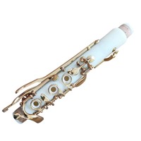 Factory Direct Wholesale Professional Woodwind ABS G-toen Clarinet Gold Plated 20-Key with Canvas Case