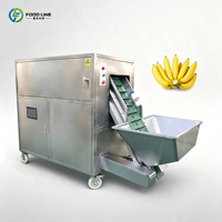 Automatische hogesnelheids industriële groene plantain/bananen schilmachine, machine voor het schillen van volwassen bananen