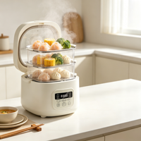 Autocuiseur Électrique Carré en Plastique 3L 200W à Contrôle Numérique, Arrêt Automatique, Fonction Gâteau et Pot en Terre Cuite, Isolation Thermique pour Usage Domestique