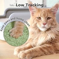 Litière pour chat en tofu à texture douce, respectueuse des pattes de chat, non irritante, faible teneur en poussière, absorption rapide, jetable dans les toilettes, sable pour chat domestique